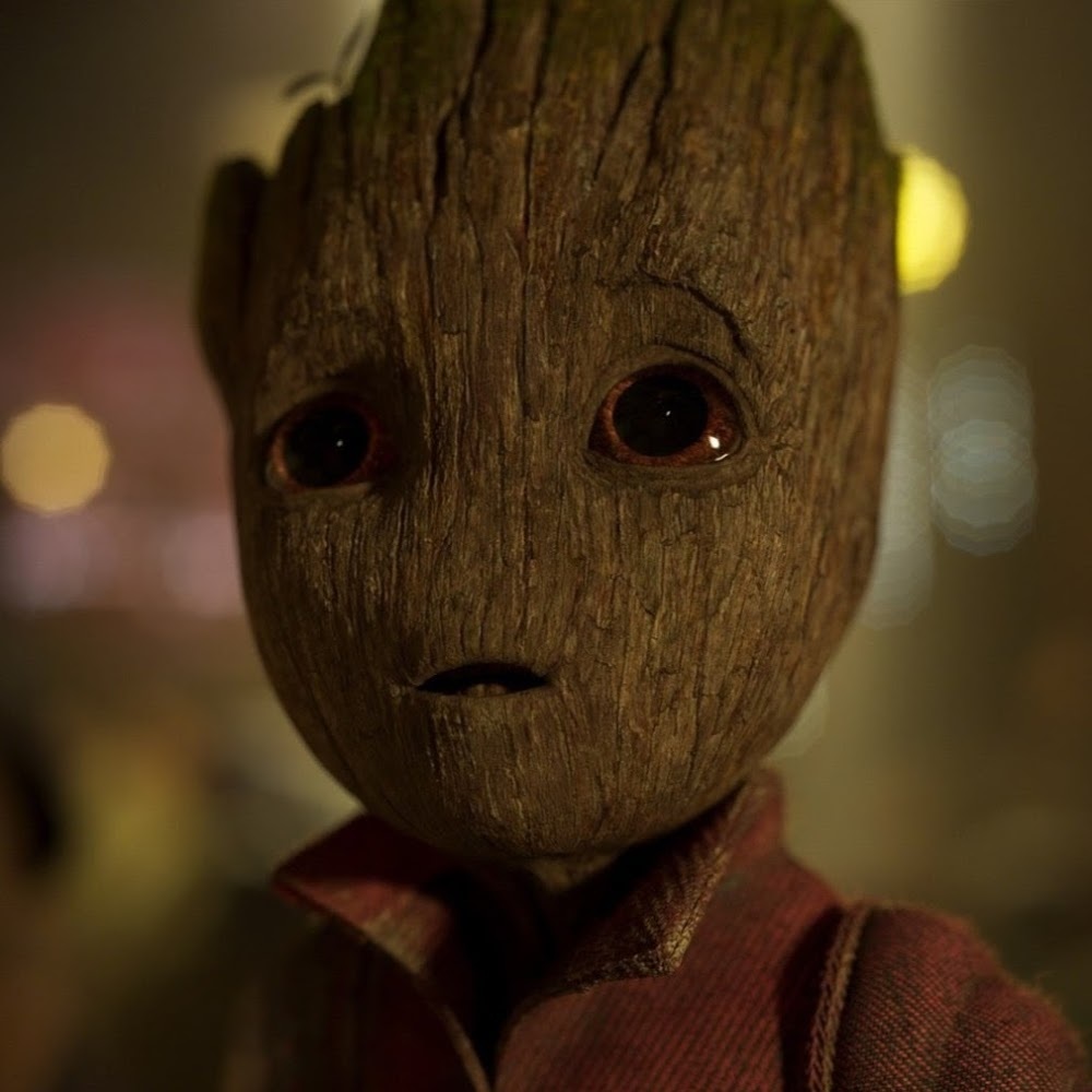 Meet your Posher, Owen